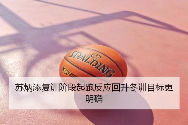 苏炳添复训阶段起跑反应回升冬训目标更明确