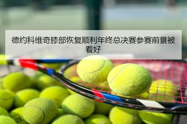 德约科维奇膝部恢复顺利年终总决赛参赛前景被看好